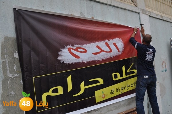 3onfyaffa48 (12).JPG